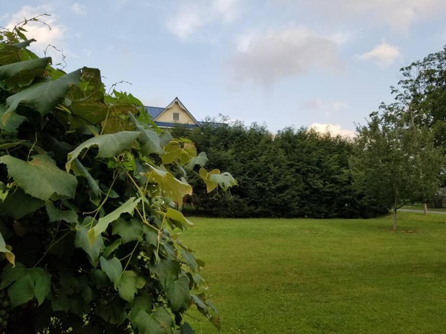 BaseCampWV-Durbin. Spacious 4 bedroom house w/yard Exterior foto